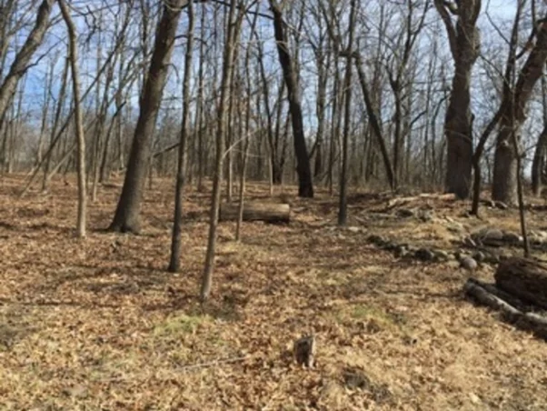 2016 listing photo 29 of 30